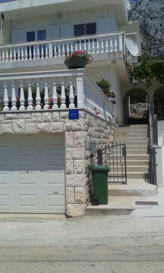 זיווגוסצה Apartment Villa Bajna מראה חיצוני תמונה
