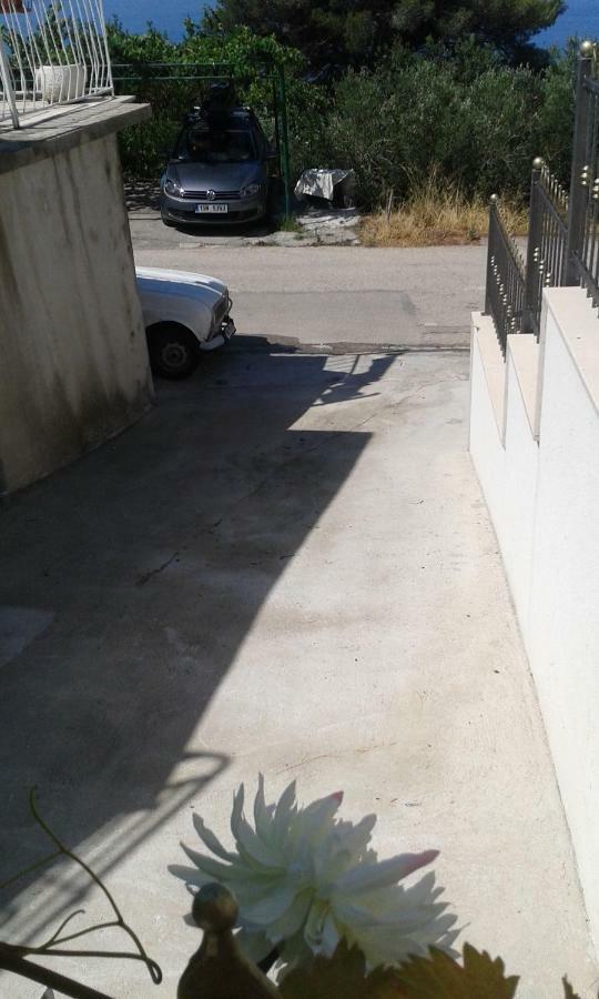 זיווגוסצה Apartment Villa Bajna מראה חיצוני תמונה
