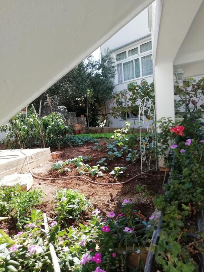 זיווגוסצה Apartment Villa Bajna מראה חיצוני תמונה